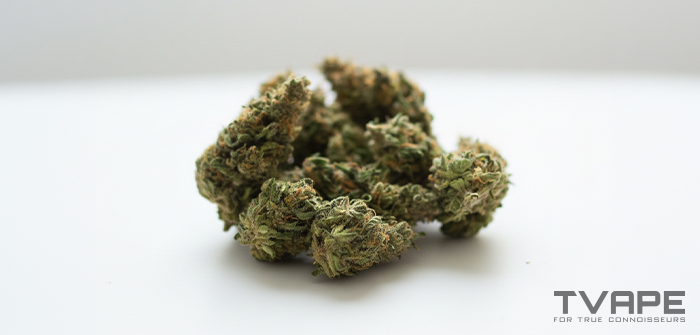 Hybrid weed strain: a close-up view