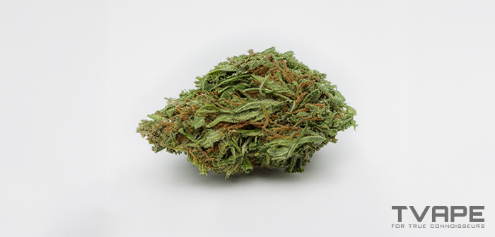 Sativa weed strain: a close-up view