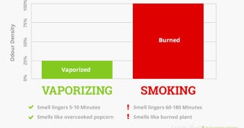 Vaporizing vs Smoking: The Difference Between Vapor and Smoke