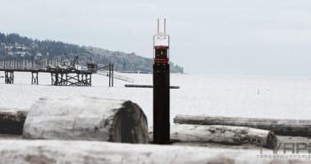 The Kind Pen Dream Review – Only in Dreams