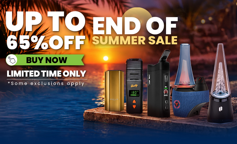 Summer Sale