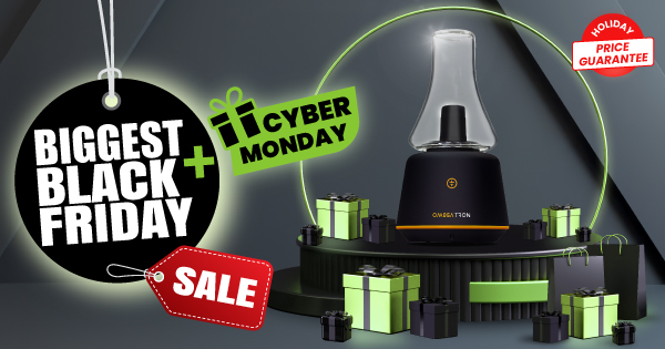 uk vape black friday Are Elf Bars Bc5000 Refillable Elf Bar BC 5000 Sunset Exploring the Elf Bar  3% Nicotine main image 1